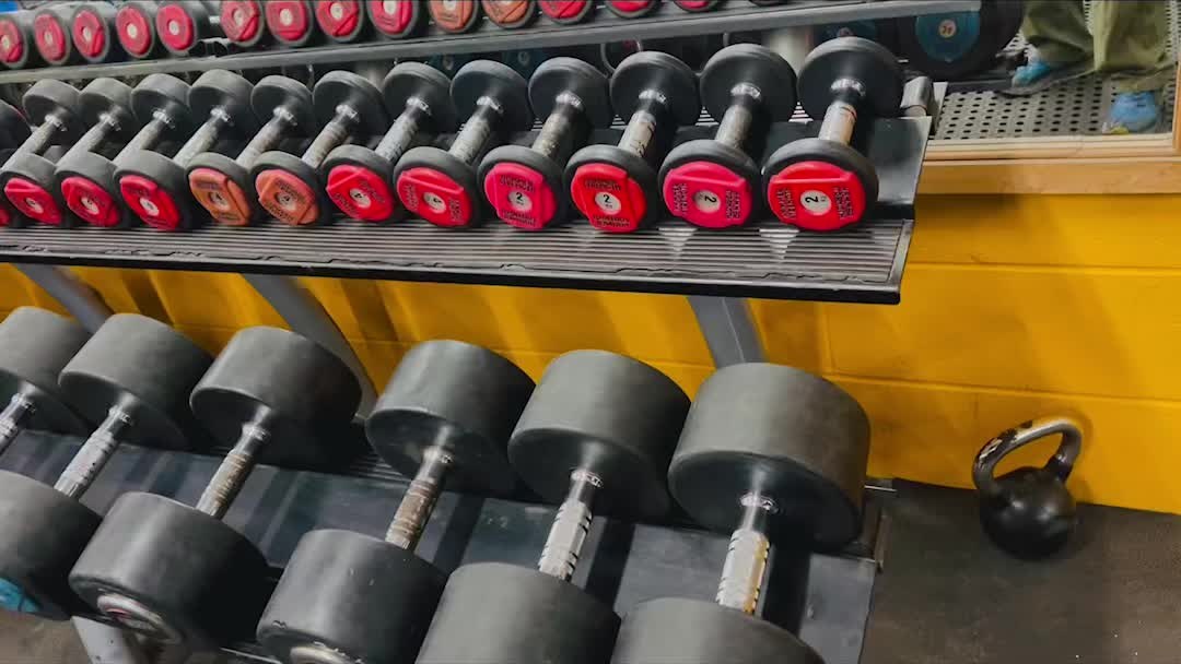 A full rack of dumbbells against a yellow-painted wall